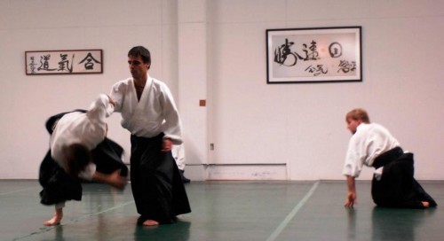 cropped-Aikido-1c-e14474123703781.jpg